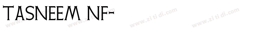 Tasneem NF字体转换